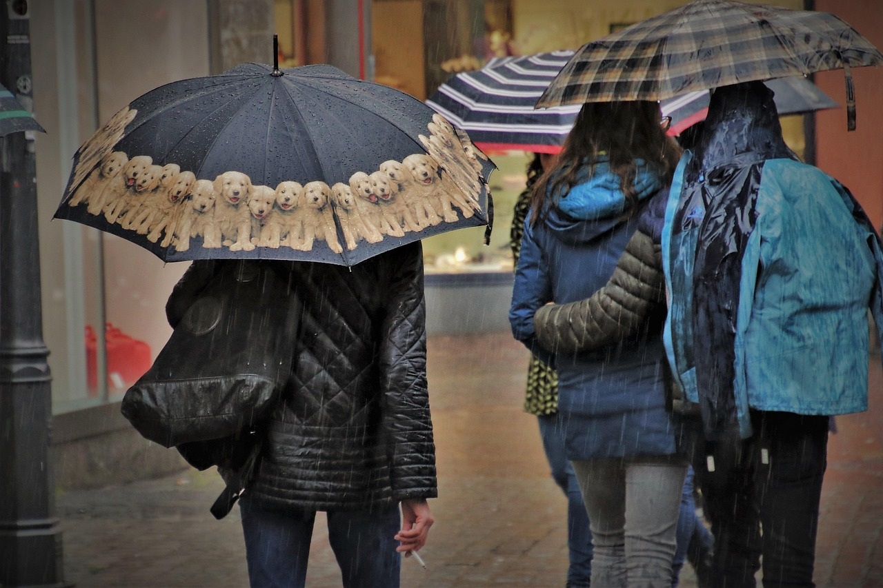 wat-te-doen-in-rotterdam-met-regen